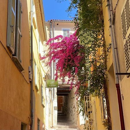 Appartement Palmiers, Coeur De Ville Sur Le Parcours Des Arts Hyères Exteriér fotografie